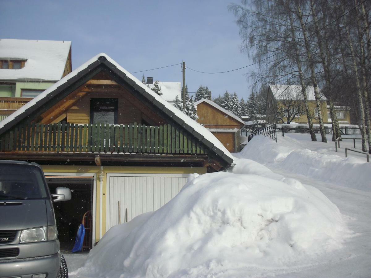 Ferienwohnung Erzgebirge Grunhainichen Экстерьер фото